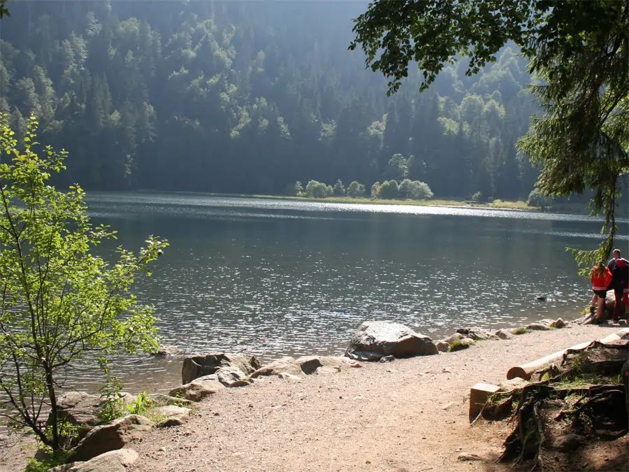 Hochschwarzwald