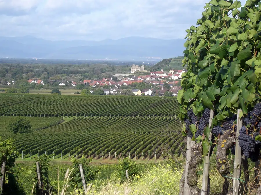 Region Breisgau