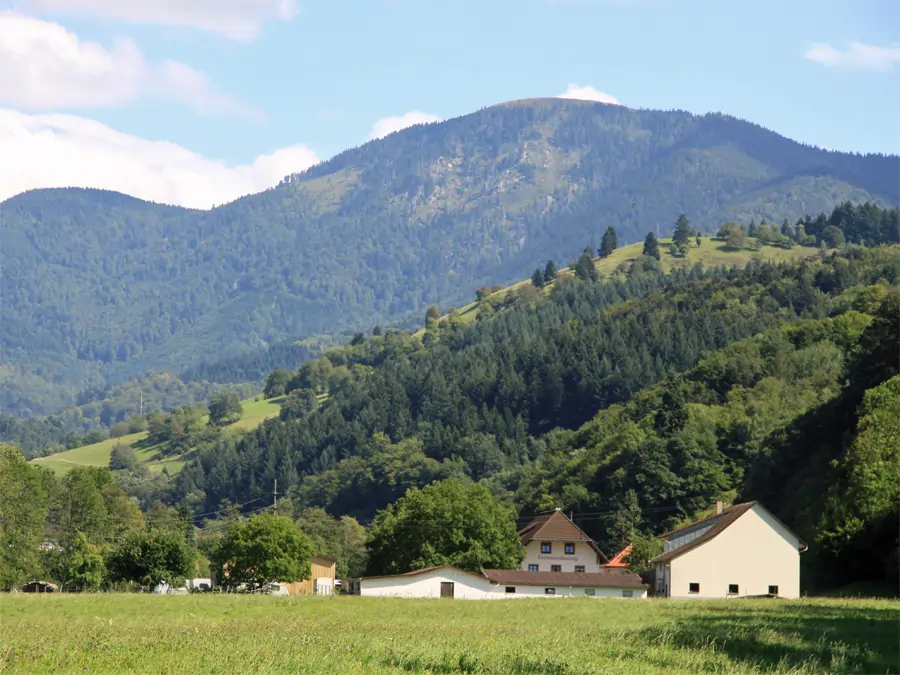 Belchen (der Kahle) 1414 m hoch