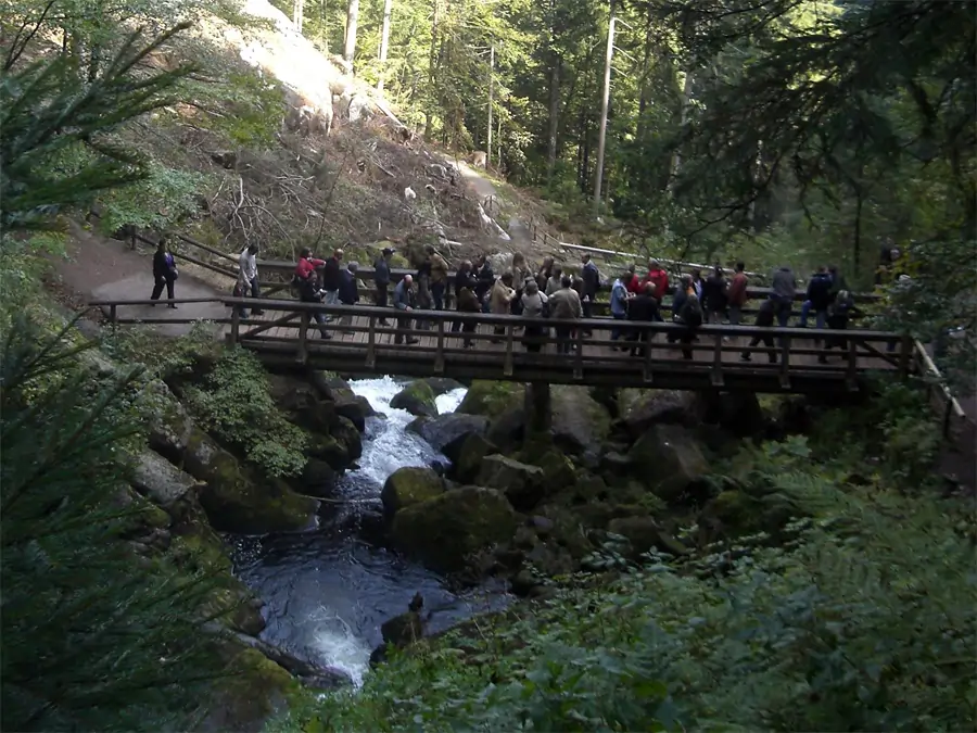 Brücke über den Triberger Wasserfall