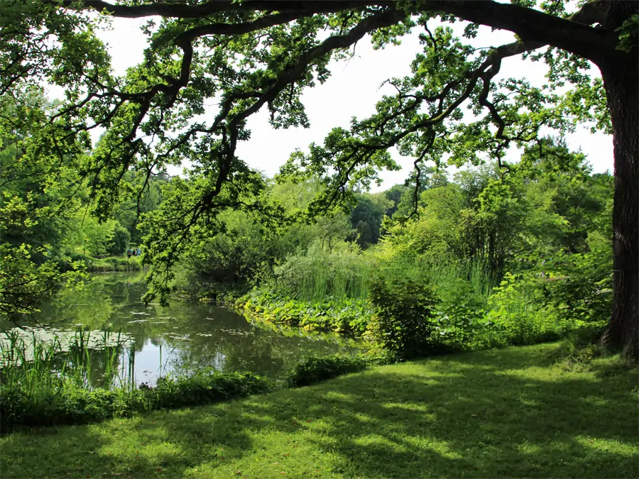 Im Botanischen Garten München