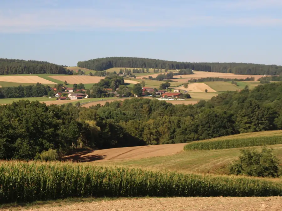 Oberpfälzer Wald und Böhmischen Wald (Český les)