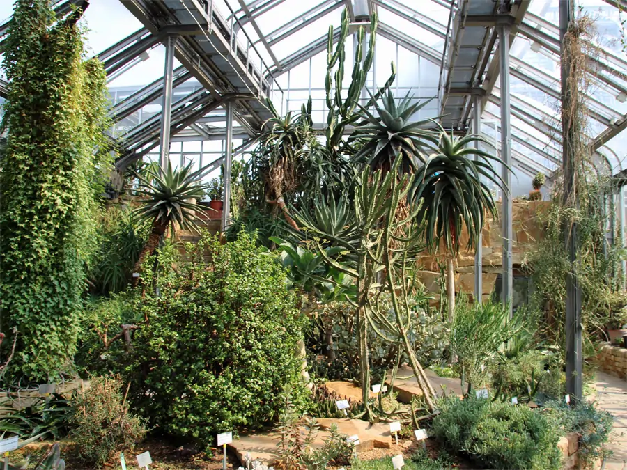 Botanische Garten in Berlin