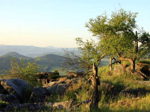 Děčiner Schneeberg, Děčínský Sněžník in der Böhmischen Schweiz