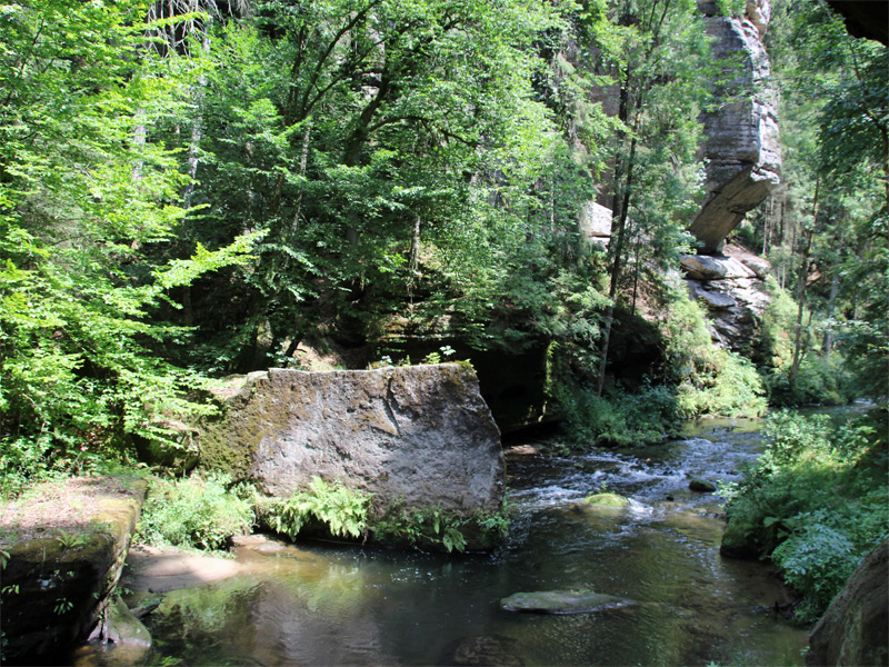 Kamnitzklamm (Kamenice) in der Böhmischen Schweiz - Nebenfluss der Elbe