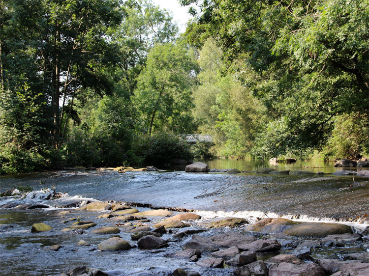 Wiesent - Hauptfluss der Fränkischen Schweiz