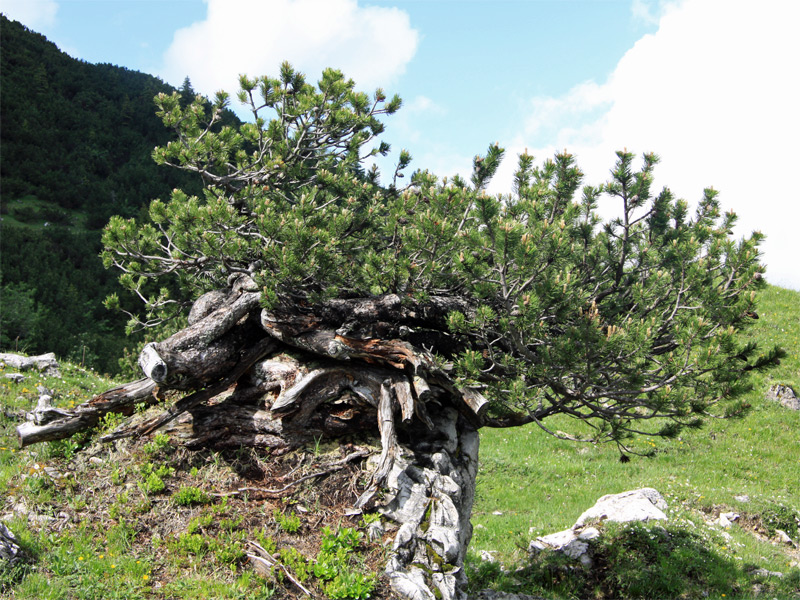 Mähren in Tschechien