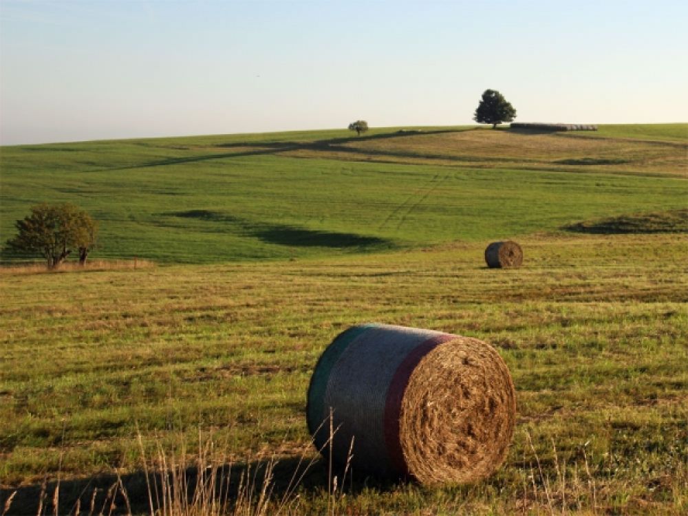 Bildergalerie Herbst
