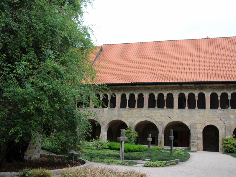 Rosenstock im Hildesheimer Domgarten