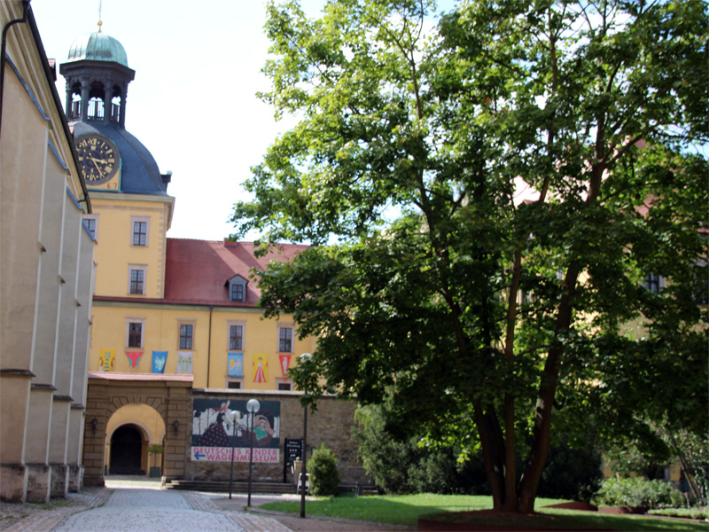 Blick zum Schloss Moritzburg