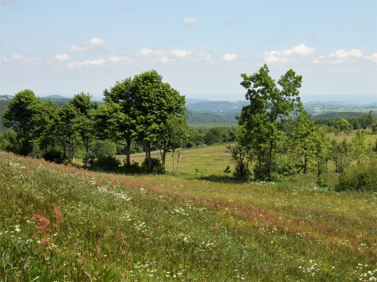 Geisingberg bei Altenberg