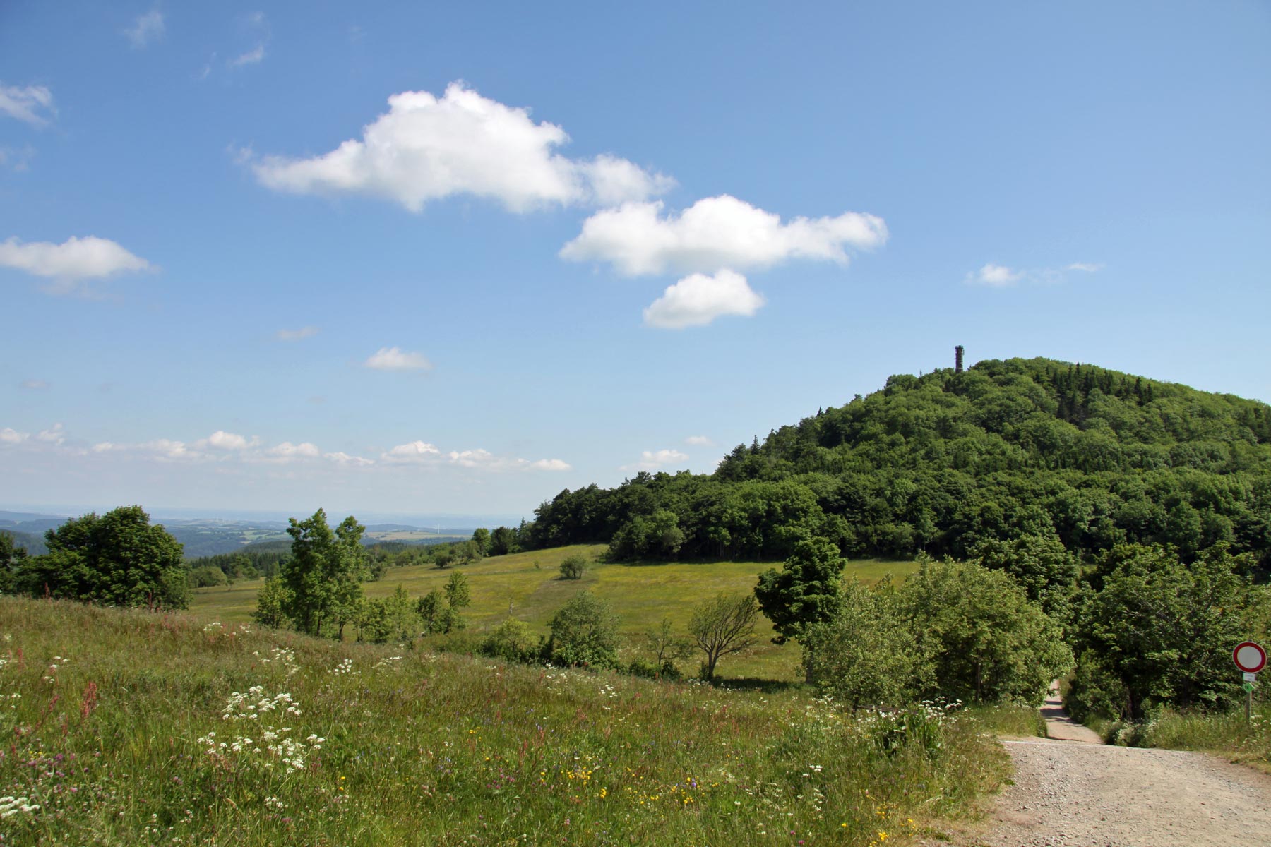 Bergwiesen am Geisingberg bei Altenberg