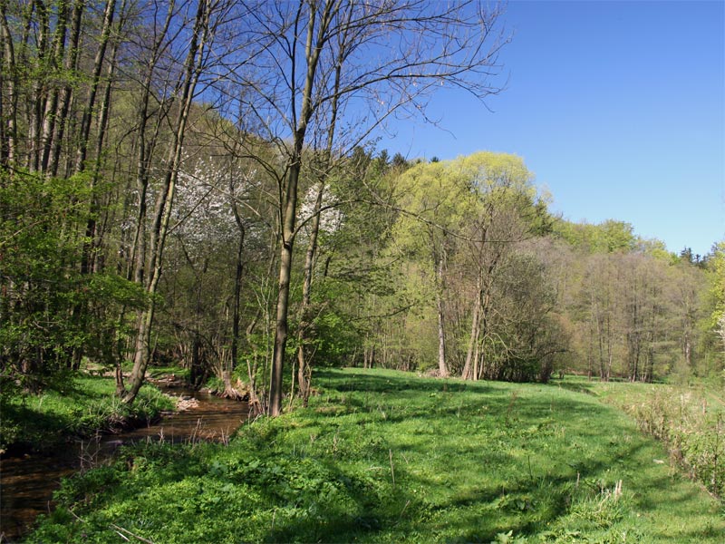 Im Müglitztal / Osterzgebirge
