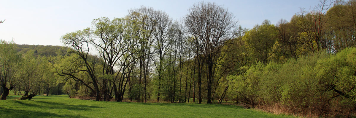 Erzgebirgsvorland