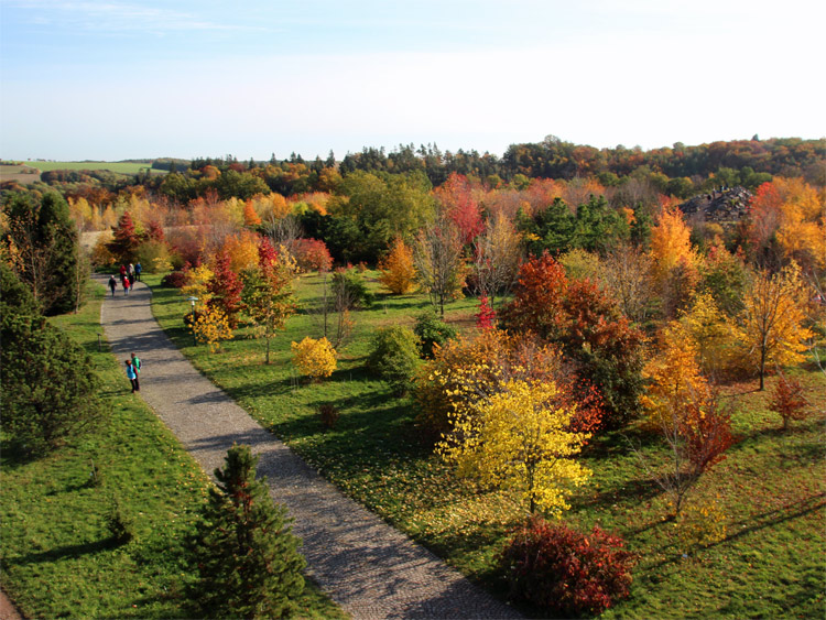 Tharandter Wald