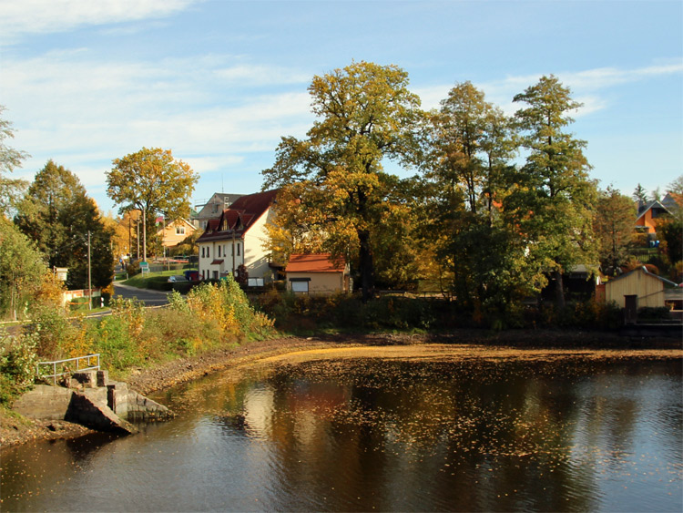 Tharandter Wald