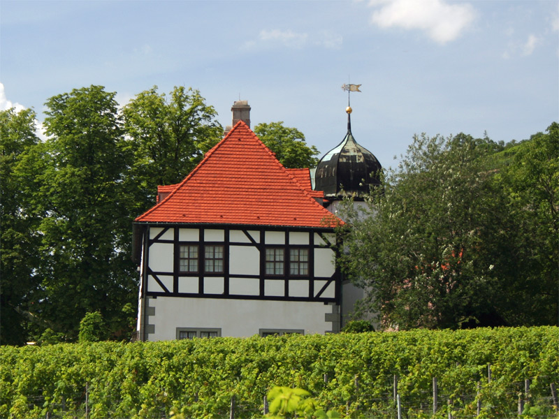 Weinmuseum Hoflößnitz in Radebeul