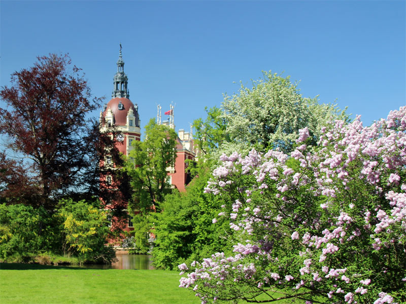 Park- & Gartenanlagen