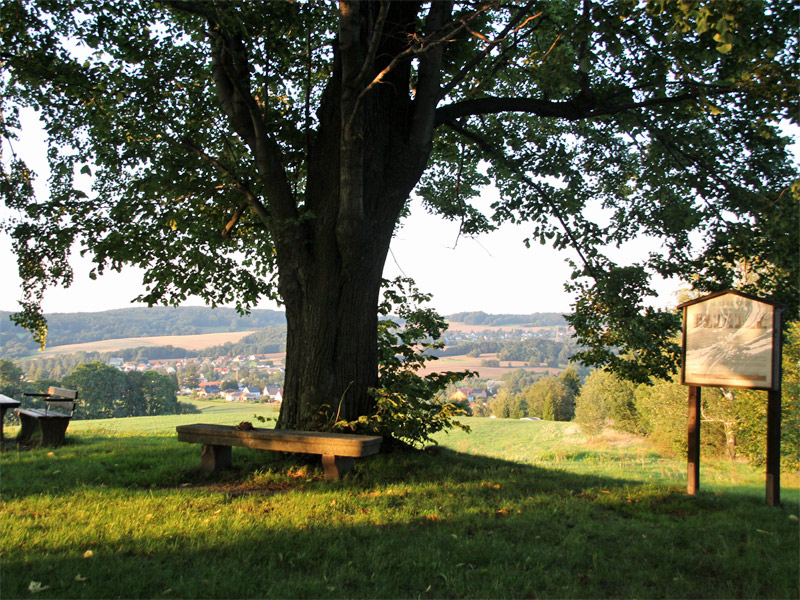 Valtenberg im Hohwald 