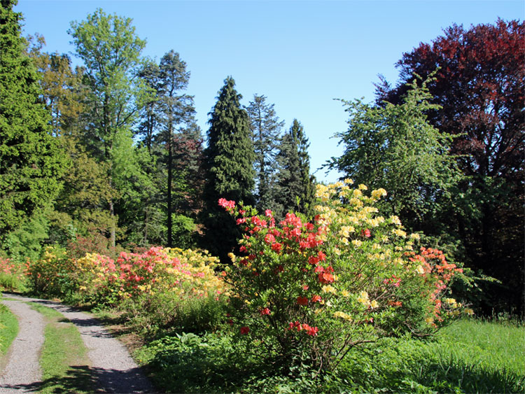 Hutbergpark bei Kamenz