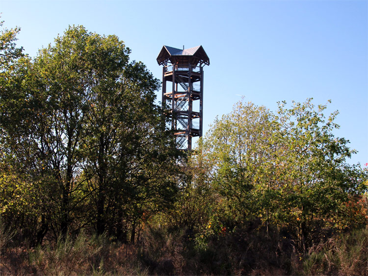Königsbrücker Heide in der Oberlausitz