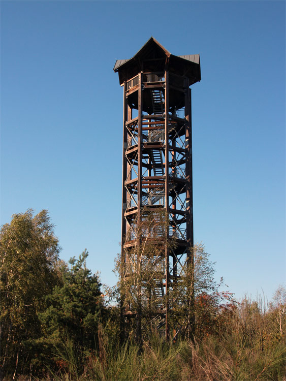 Aussichtsturm in der Königsbrücker Heide