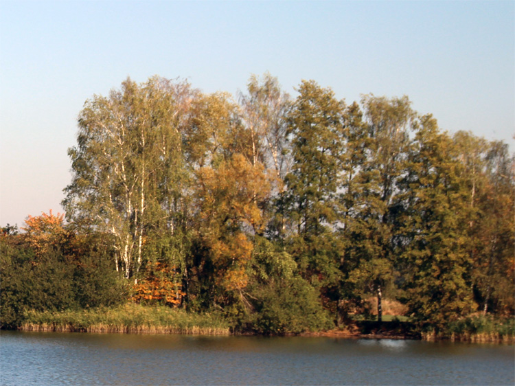 Laußnitzer Heide in der Westlausitz