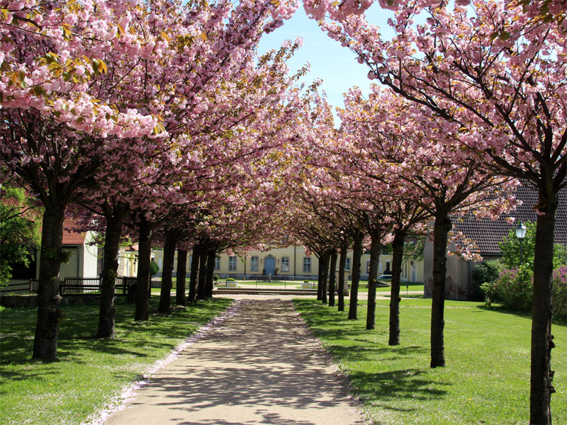 Königshainer Schlosspark in der Oberlausitz