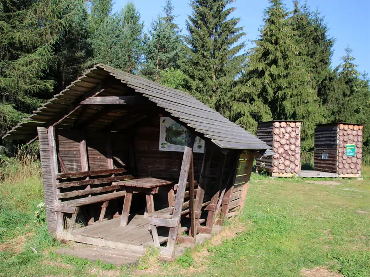 Auf dem Forststeig durch das Elbsandsteingebirge