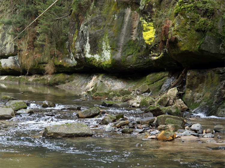 Fluss Kirnitzsch in der Sächsischen Schweiz