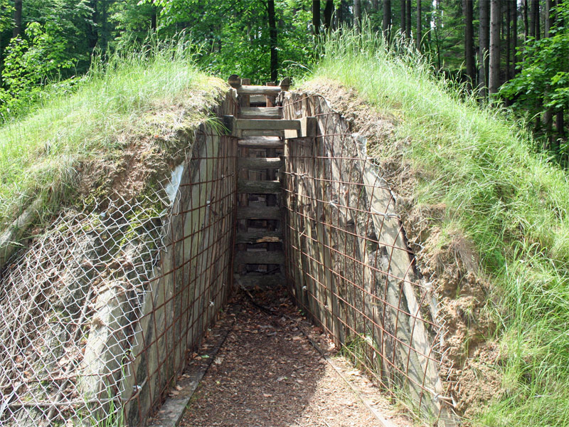 Waldhusche in Hinterhermsdorf