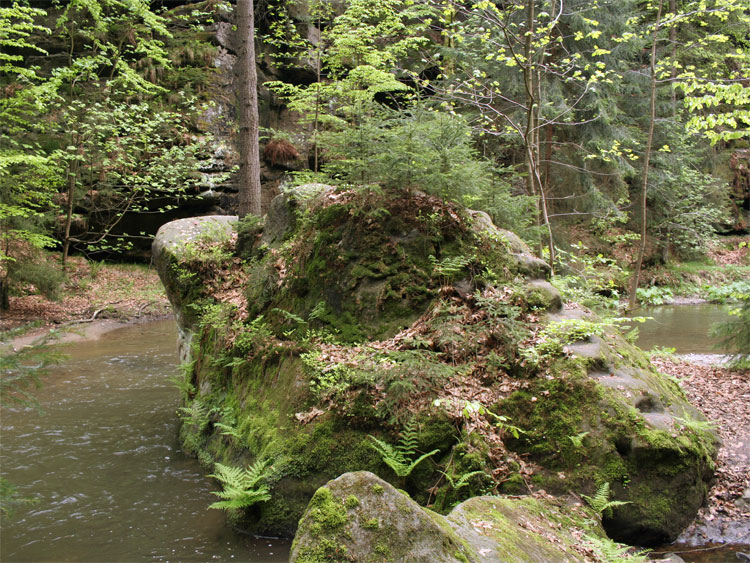 Polenztal in der Sächsischen Schweiz