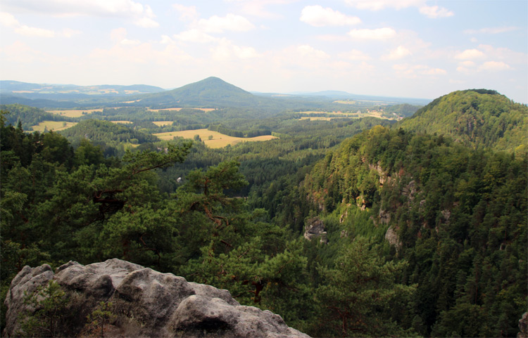 Blick von der Wilhelminenwand / Böhmische Schweiz