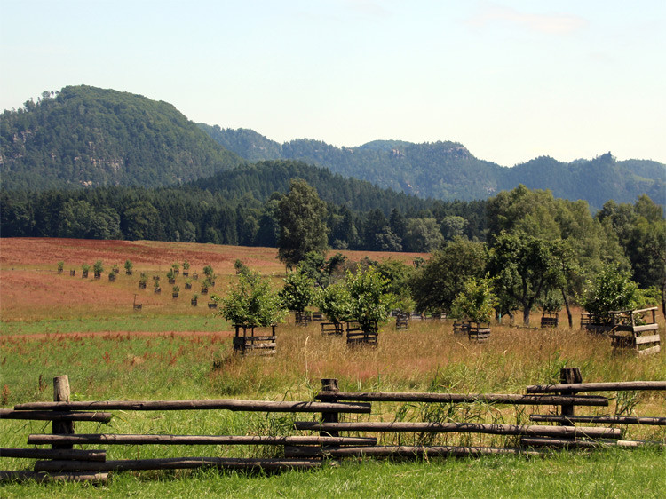 Von Dittersbach zur Balzhütte - Na Tokání