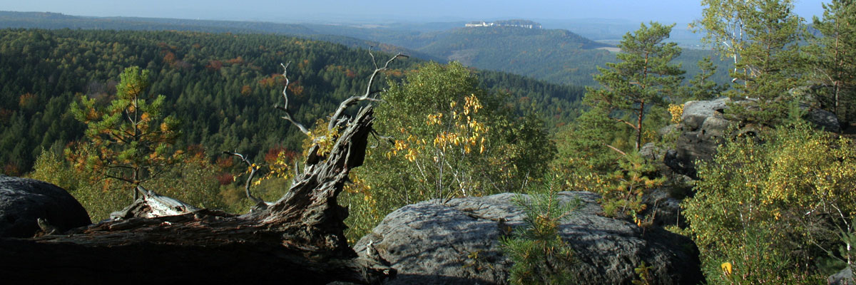 Blick vom Tafelberg Gohrisch