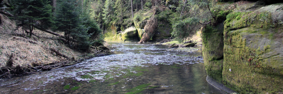Entlang der Kirnitzschklamm / Sächsische Schweiz