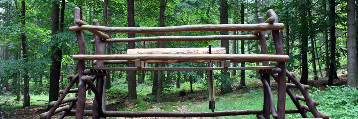 Waldhusche in Hinterhermsdorf