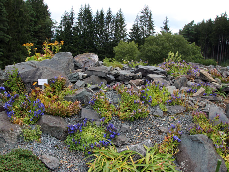 Botanische Garten Adorf