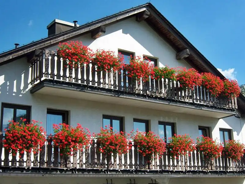 Landhotel Weißes Rößl