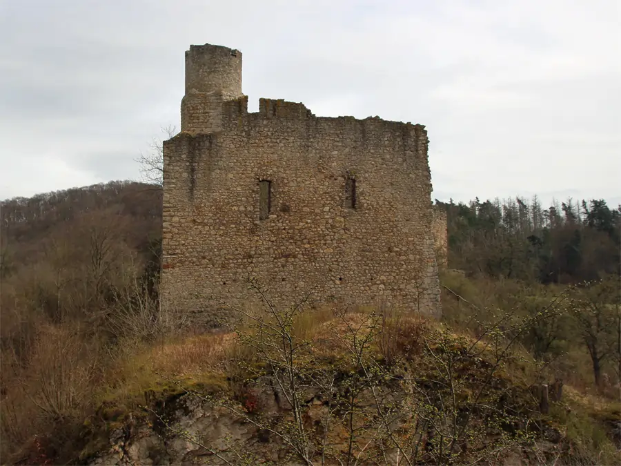 Ansicht zur Burgruine Brandenburg