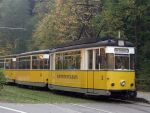 Im Kirnitzschtal der Sächsischen Schweiz