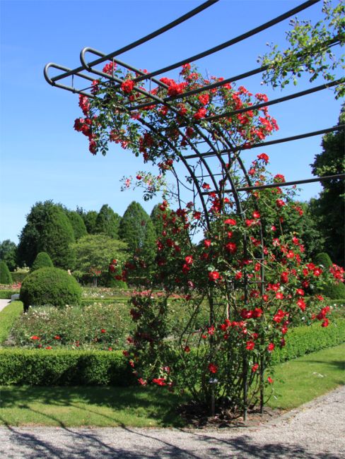 Landschaftspark Britzer Garten in Berlin 