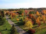 Tharandter Wald