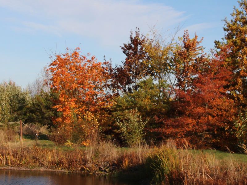 Fortstbotanischer Garten im Tharandter Wald