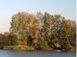Laußnitzer Heide