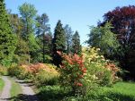 Hutbergpark bei Kamenz