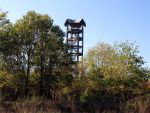 Königsbrücker Heide