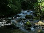 Im Kirnitzschtal in der Sächsischen Schweiz