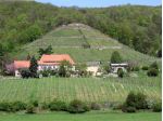 Sächsische Weinstrasse Pirna über Pillnitz, Radebeul, Meißen bis nach Diesbar-Seußlitz.