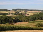 Blick zum Oberpfälzer Wald